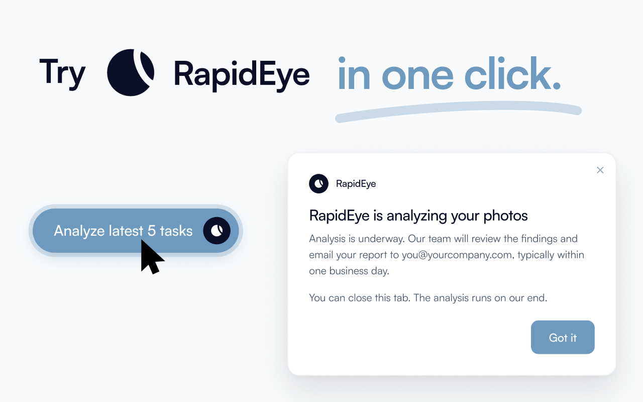 Click the button and RapidEye confirms it is analyzing your photos. You can close the tab.